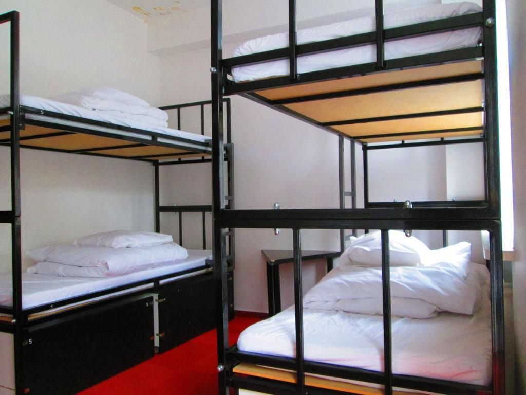 Wilson Hostel Warszawa 객실 사진